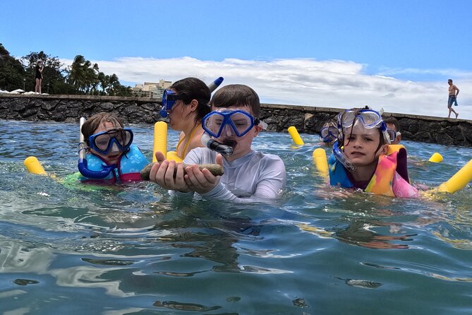 Waikiki! Very Shallow Snorkeling Fish Marinelife!Free Pics&Video! - Good To Know