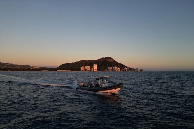 Waikiki Whale Watch: Semi-Private Boat Tour - Good To Know