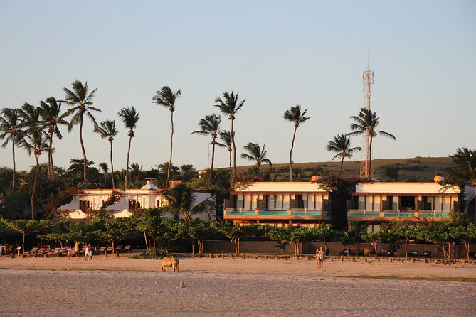 Walk to Jericoacoara Beach - Meeting and Pickup Details