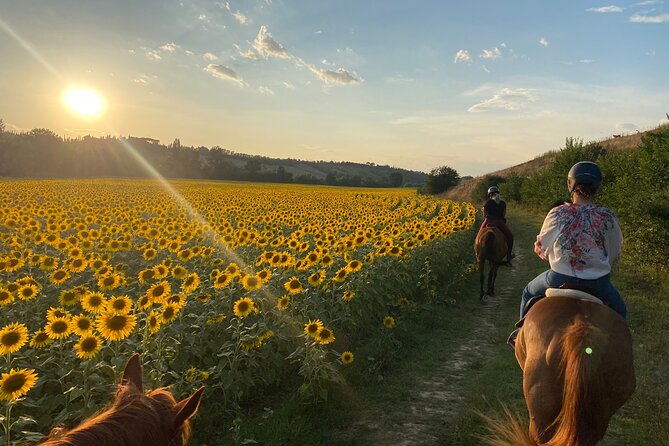 Walking In Nature: A Review of Serenity - Key Points
