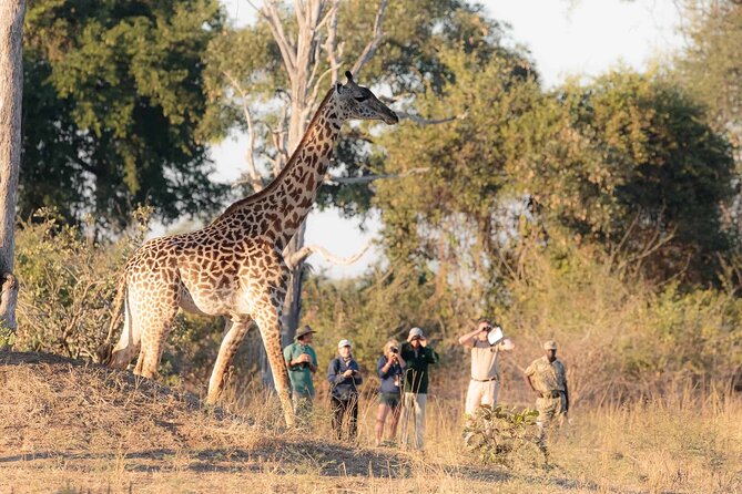 Walking Safari - Good To Know