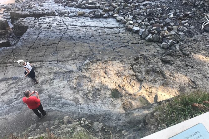 Walking With Dinosaurs Along Asturias Coast - Jurassic Museum of Asturias