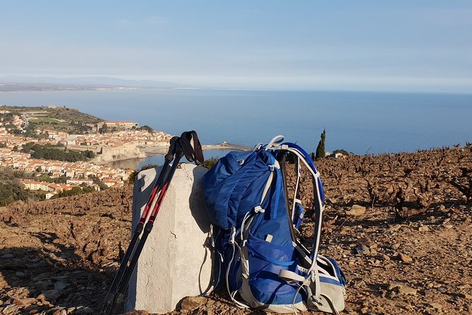 Walks in the Heart of the Secret Vineyards Around Collioure, Tastings - Good To Know