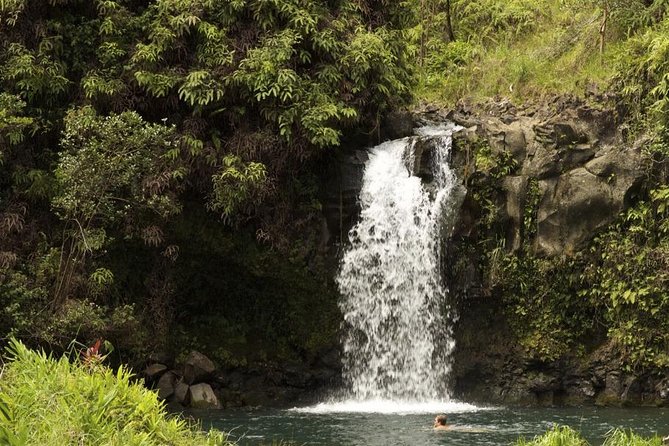 Waterfall and Rainforest Adventure - Good To Know