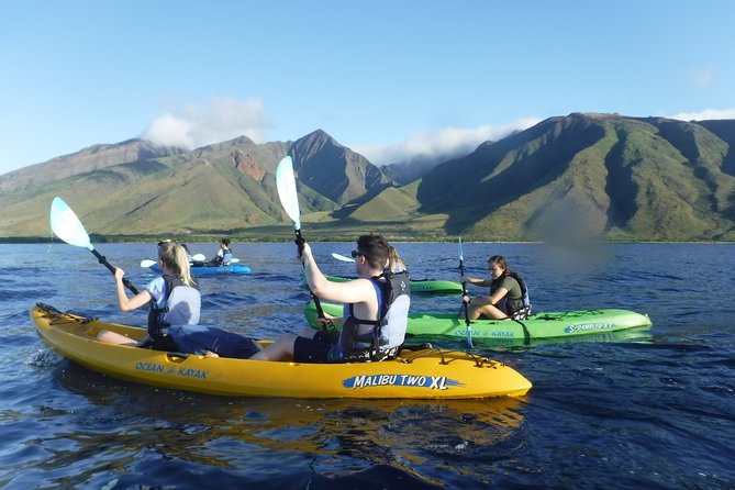 West Side Discovery Kayak & Snorkel Tour - Highlights of the Experience