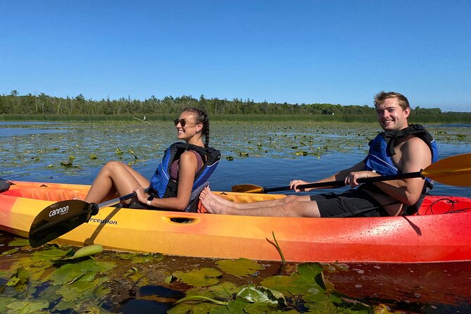 Wetlands Kayak Tour - Good To Know
