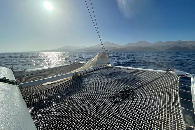 Whale & Dolphin Observation on Silent Catamaran With Hydrophone - Good To Know