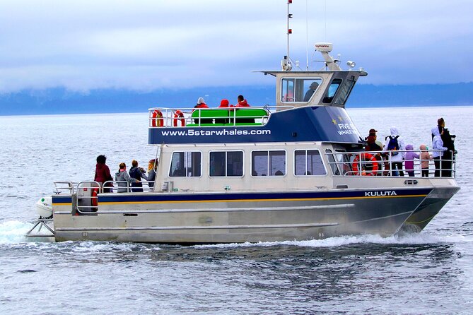 Whale Watching Cruise With Expert Naturalists - Good To Know