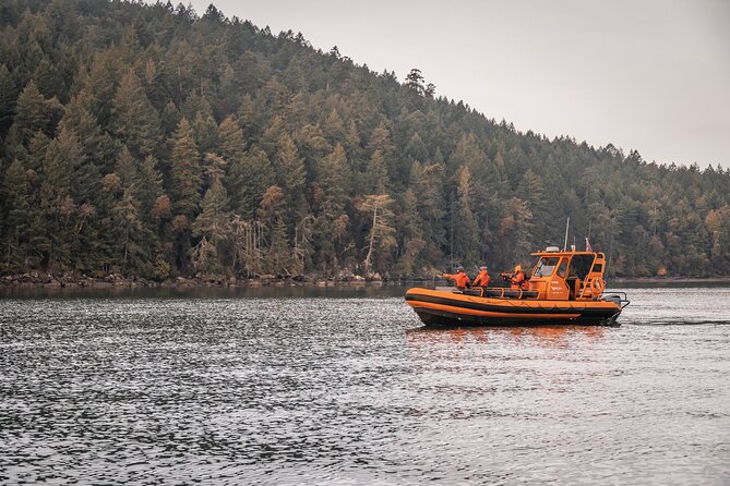 Whale Watching Nanaimo Open Boat Tour - Good To Know