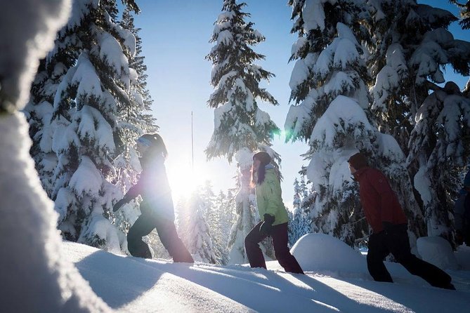 Whistler Snowshoeing Adventure - Good To Know