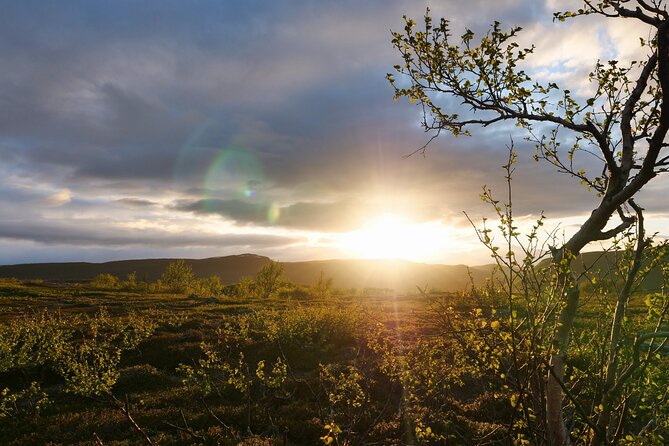 Wild Food & Foraging Hike With Open Fire Lunch - Key Points