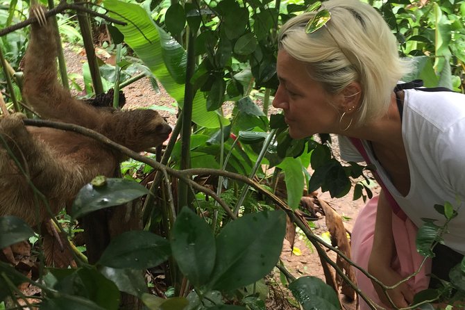 Wild Life And Horseback Riding Through The Rain Forest - About Your Stay