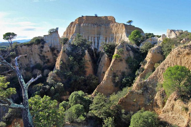Wild Organs: Grand Landscape, Plants, Geology, Birdsongs - Good To Know