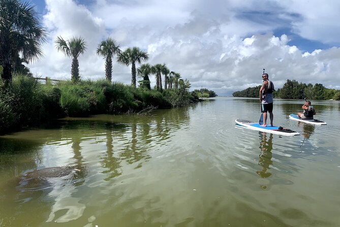 Wildlife Refuge Dolphin, Manatee & Mangrove Kayak or Paddleboarding Tour! - Good To Know