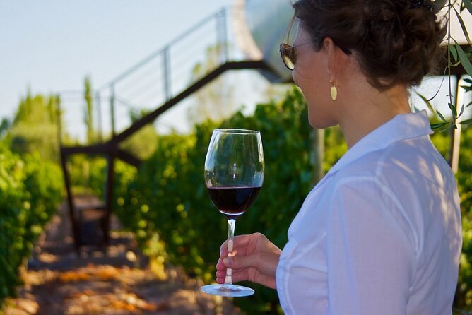 Wine Paths - About Your Stay