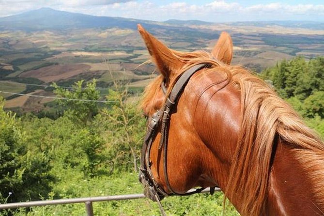Wine Tasting and Horseback Riding in Montepulciano, in Tuscany From Rome - Good To Know