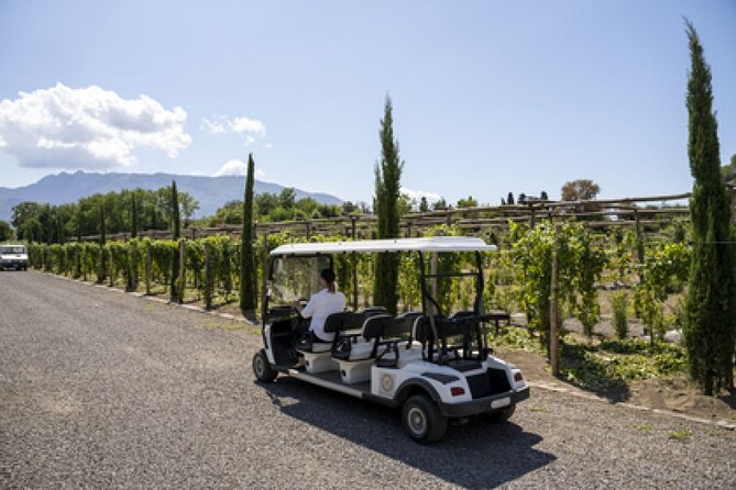 Wine Tasting Including Lunch - Pricing Details