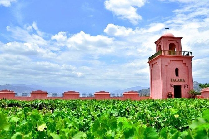 Winery and Pisco Tour in Ica - About Your Stay