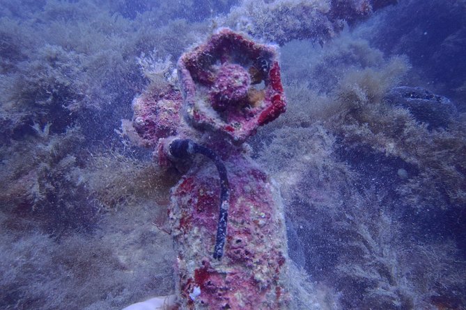 Wreck Exploration Ricardo-18m (Certified Diver) - Good To Know