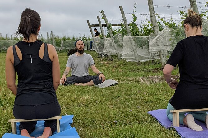 Yoga in Vineyards and Brunch - Good To Know