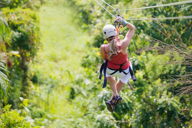 Zipline Canopy & Crocodile Safari Cruise. Private Tour - Tour Highlights