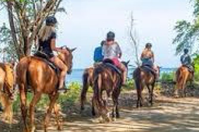 Ziplines/Horse Back Ride & Swim and ATV or Dune Buggy. - Tour Overview