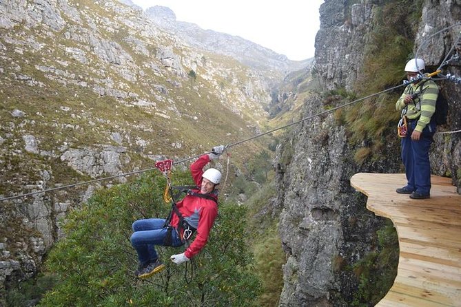 Ziplining Elgin - Key Points