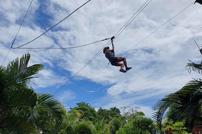 Zipp Line + Animal Sanctuary +Atvs City Walk + Rum & Chocolate Factory - Good To Know