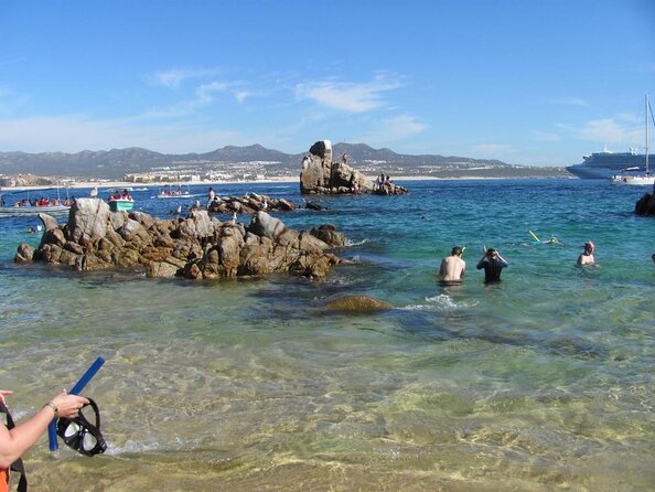 Zodiac Whale Watching Adventure - Incl FREE Photos & Whale Sightings Guarantee - Key Points