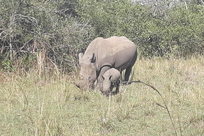 Zziwa Rhino Sanctuary Walking Safari - Key Points