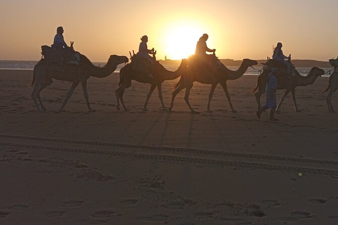 1/2 Day Camel Trekking in Essaouira With Meals - Meeting and Pickup Details