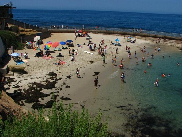1.5 Hour Walking Tour From La Jolla in San Diego - About Your Stay