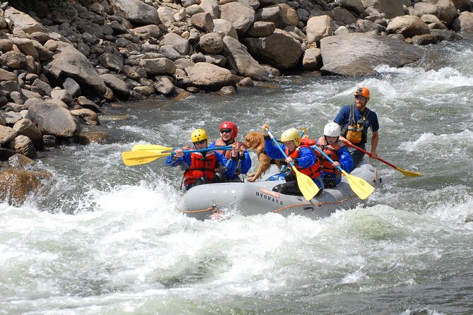 1-Day Arkansas River - Bighorn Sheep Canyon Trip - Trip Overview