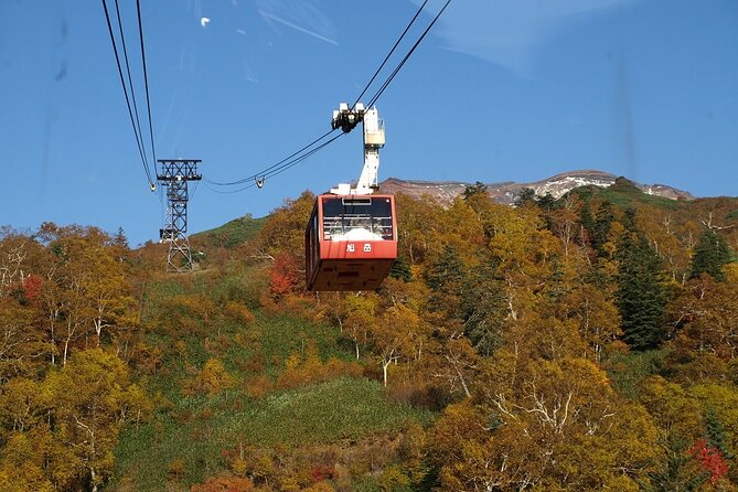 1 Day Fascinating Asahidake and Biei Discovery Tour in Hokkaido - Key Points