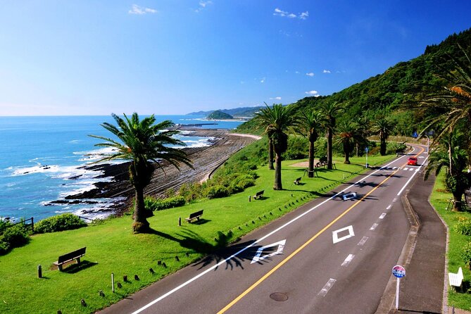 1 Day Private Tour to Miyazaki Nichinan - Participant Information