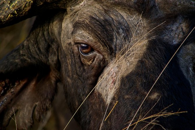 1 Day Skukuza Wildlife Photographic Safari - Kruger National Park - Location Details