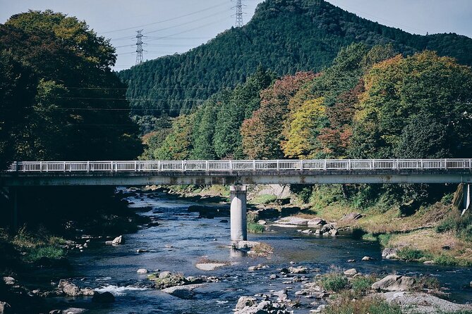 1 Day Tokyo Backcountry Okutama With E-Bike - Good To Know