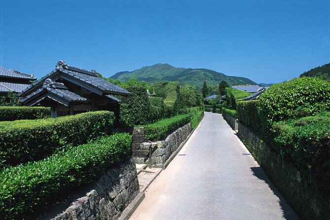 1 Day Tour to Ibusuki Chiran With English Speaking Guide - Tour Overview