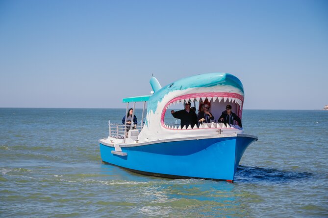1-Hour Dolphin Sightseeing Adventure Cruise From Madeira Beach - Good To Know
