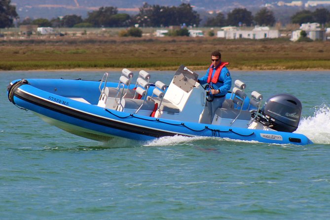 1 Hour Private Speed Boat Tour - Key Points