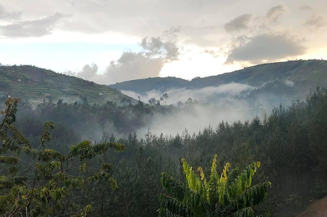 12 Day Affordable Safari-Gorilla and Primate Track Uganda