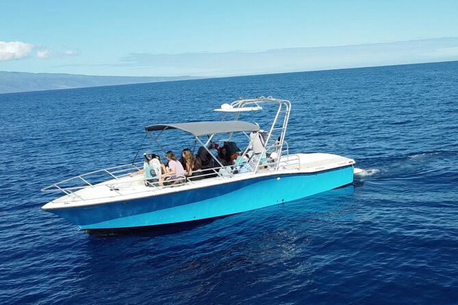12 Passenger Kaanapali Beach Whale Watch Tour. Onboard Whale Mic - Meeting and Pickup