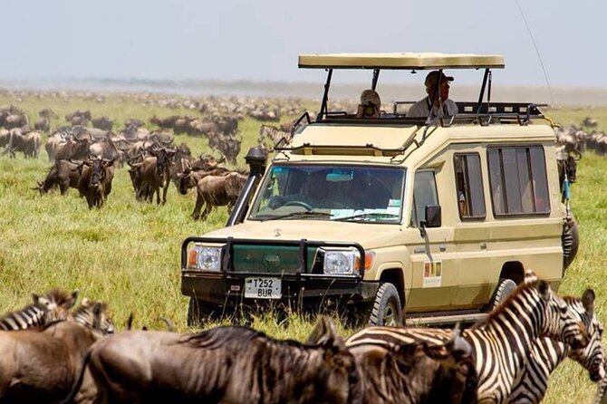 13 Days Best of Kenya and Tanzania BudgetSafari - Key Points
