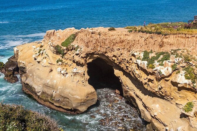 1.5 Hour Walking Tour From La Jolla in San Diego