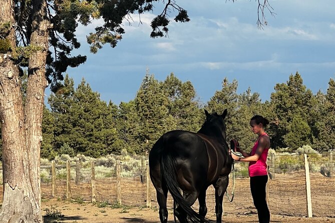 1.5 Hours Private Meditations With the Horses in Oregon
