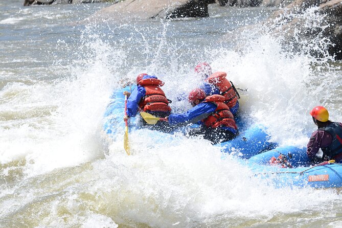 1-Day Arkansas River – Bighorn Sheep Canyon Trip