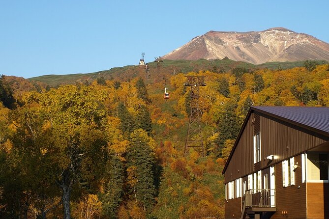 1 Day Fascinating Asahidake and Biei Discovery Tour in Hokkaido - Tour Overview