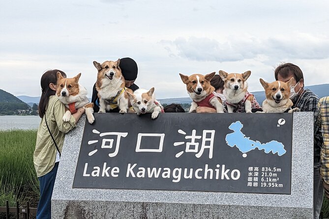 1 Day Private Mt Fuji & Lake Kawaguchiko English Speaking Driver - Traveler Reviews