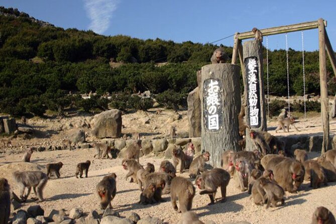 1-Day Shodoshima Island Bus Tour