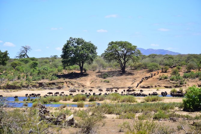 1 Day Skukuza Wildlife Photographic Safari – Kruger National Park